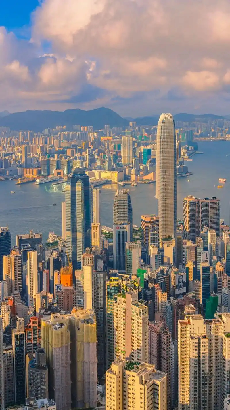 香港VTC - 天马国际咨询顾问有限公司